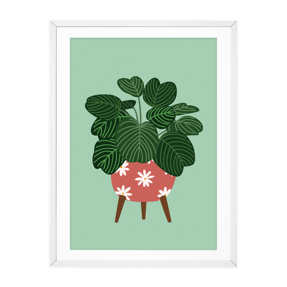 
            
                Load image into Gallery viewer, RETRO POT CALATHEA - TEAL
            
        