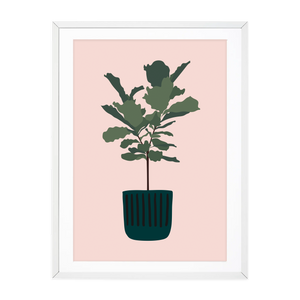 BOHO BANANA PLANT