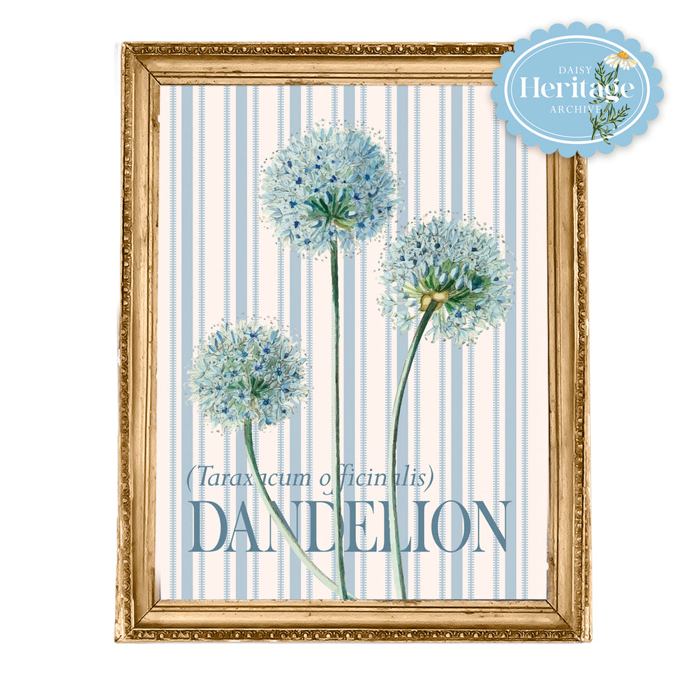 
            
                Load image into Gallery viewer, DANDELION STUDY ON TICKING STRIPE
            
        