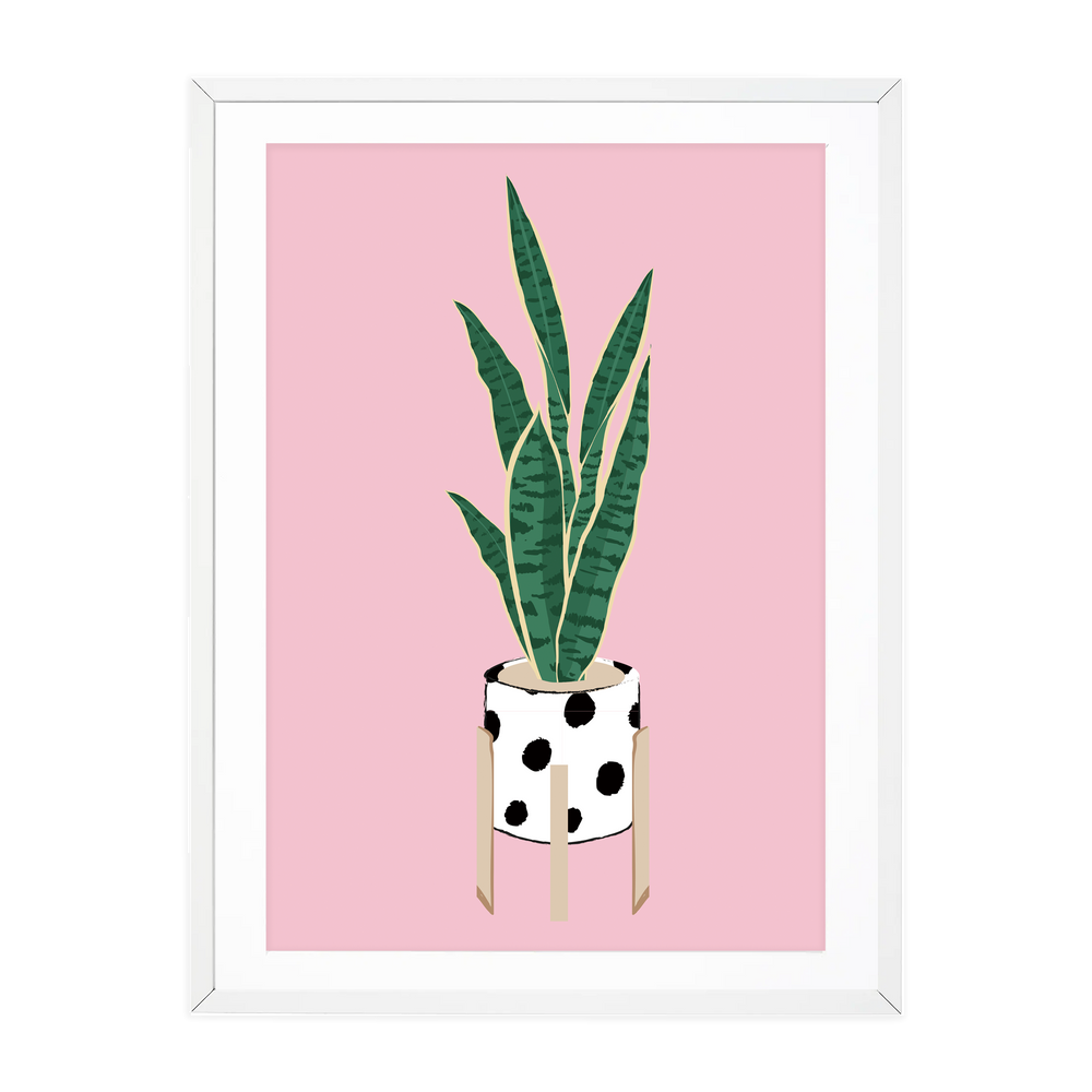 
            
                Load image into Gallery viewer, DOTTY DALMATIAN SNAKE PLANT
            
        