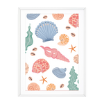 SEA SHELL COLLECTION