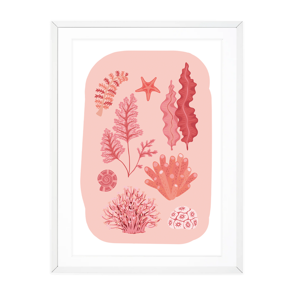 
            
                Load image into Gallery viewer, CORAL COLLECTION - PEACHY
            
        