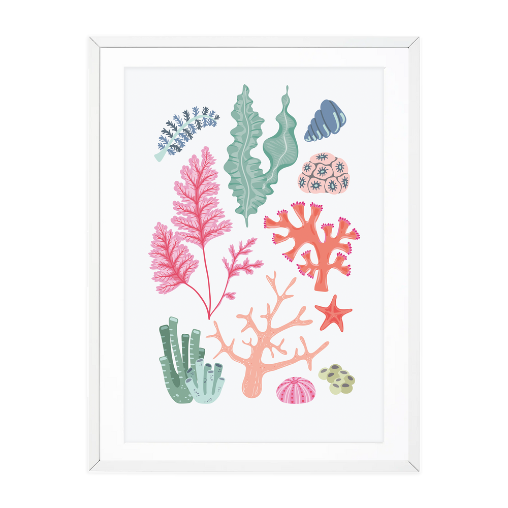 
            
                Load image into Gallery viewer, A2 COLLECTION OF CORAL
            
        