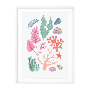 
            
                Load image into Gallery viewer, CORAL COLLECTION
            
        