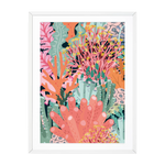 CORAL REEF - DEEP SEA